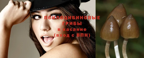 герыч Надым