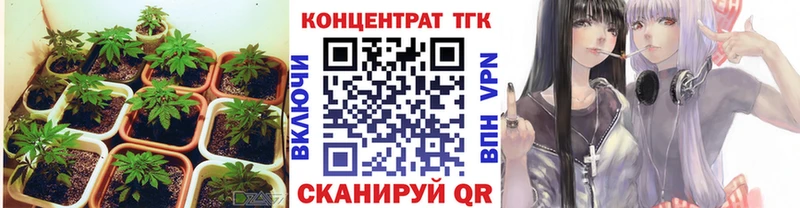 Купить где  Коркино  ТГК THC oil 