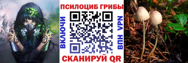 Галлюциногенные грибы мухоморы  Купить  Коркино 